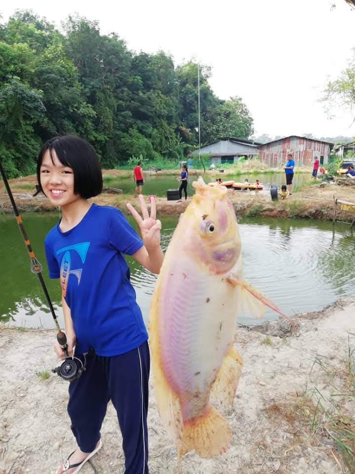 FarmVille Fishing Pond. Kolam Pancing. Beginner. Friendly @ Seremban