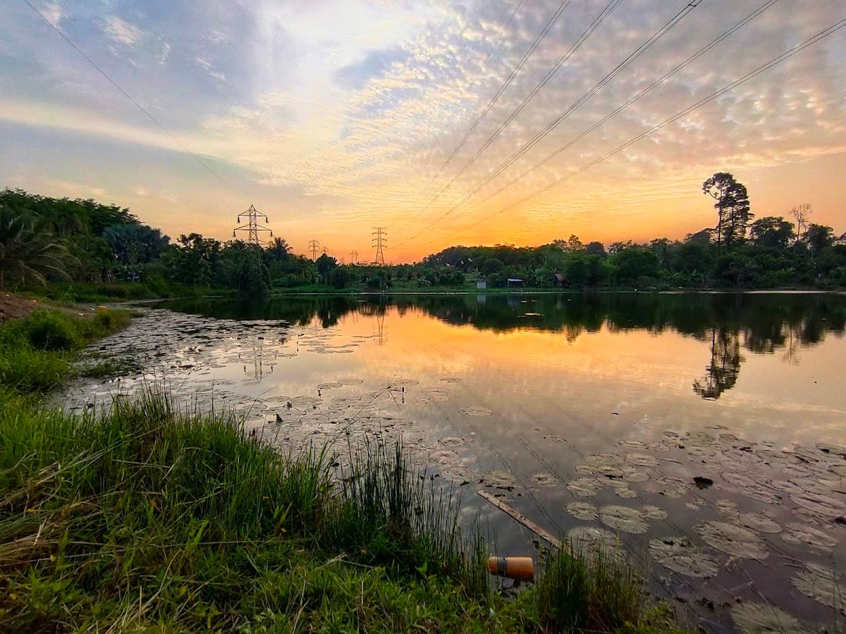 Wet Land Fishing Spot