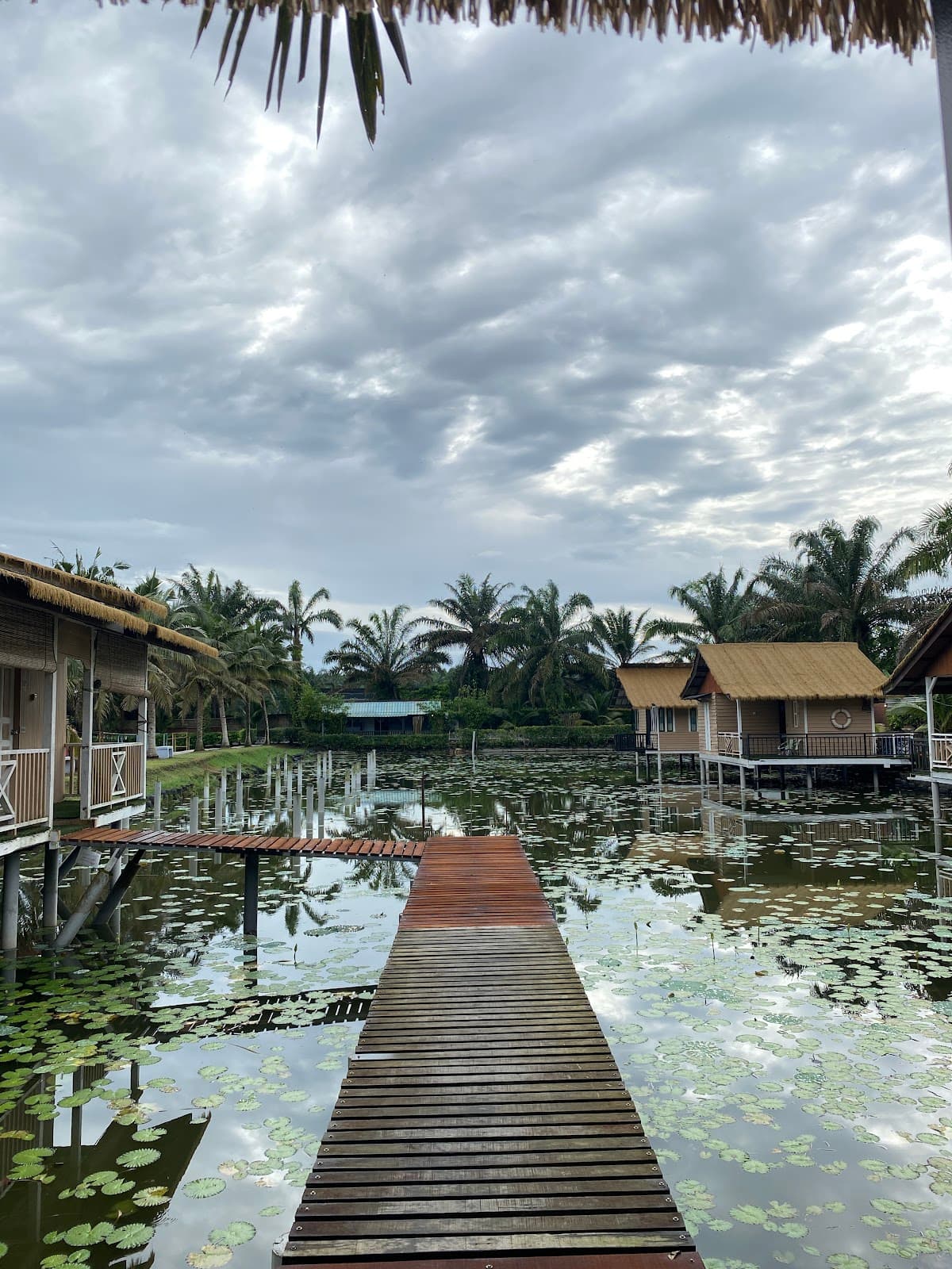 Star Fish Leisure Farm