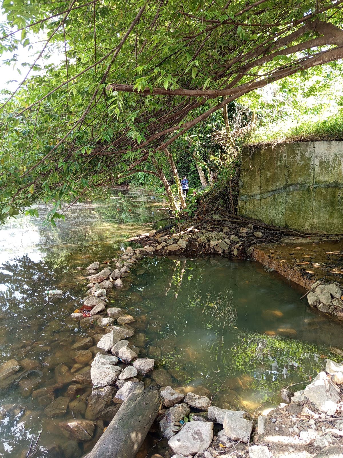 Tasik bangau