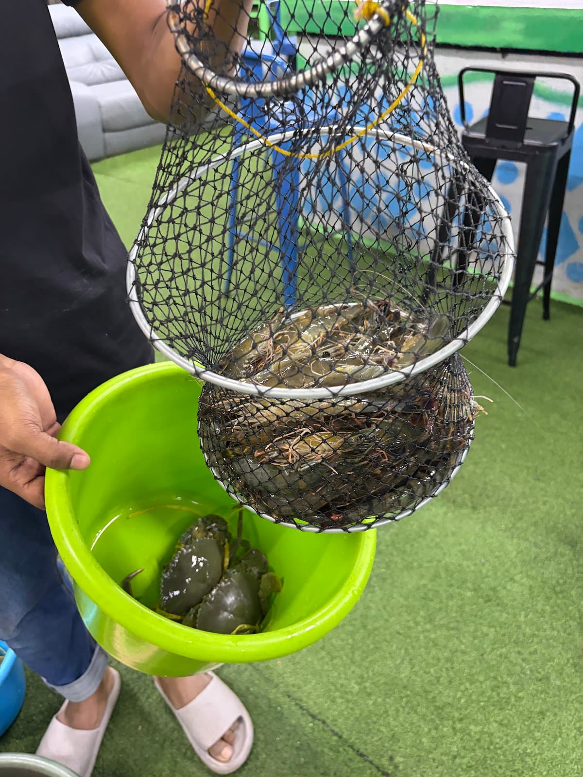 Puchong Sea Dragon Prawn Fishing 蒲种海龙王海蟹虾场