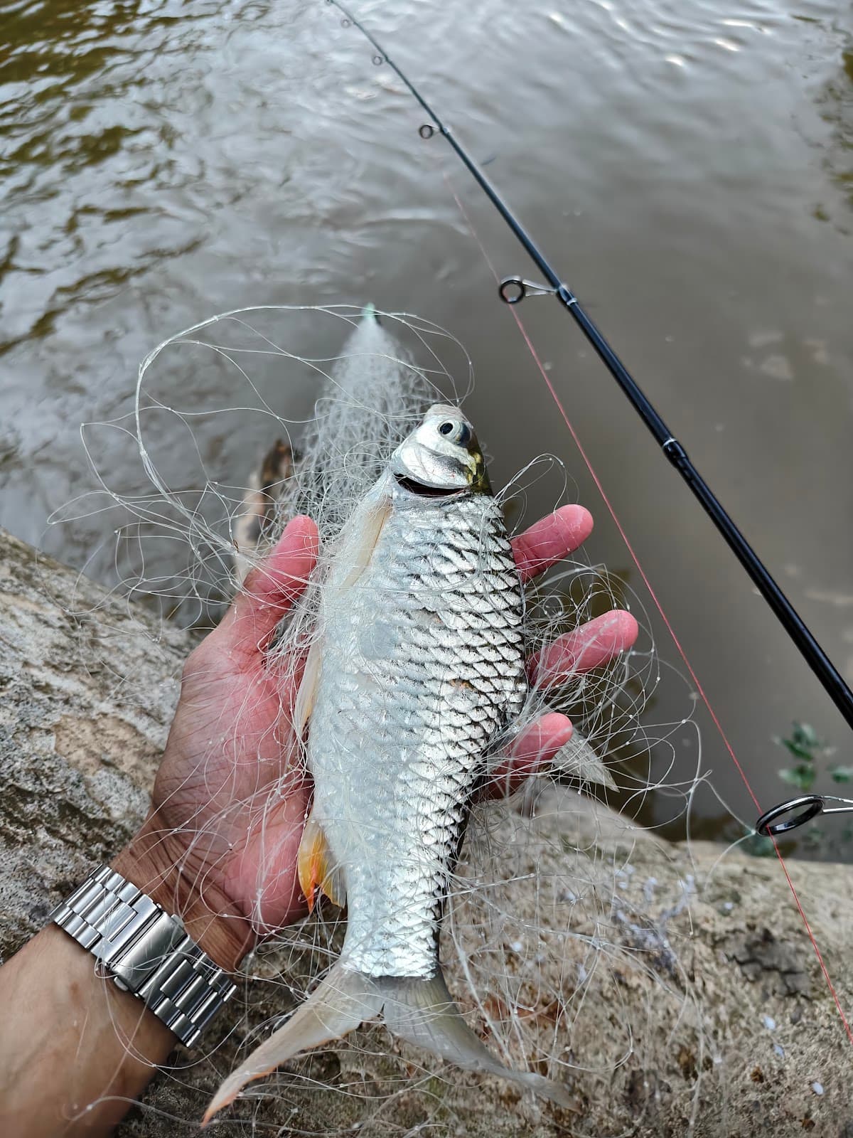 Port Mancing BET