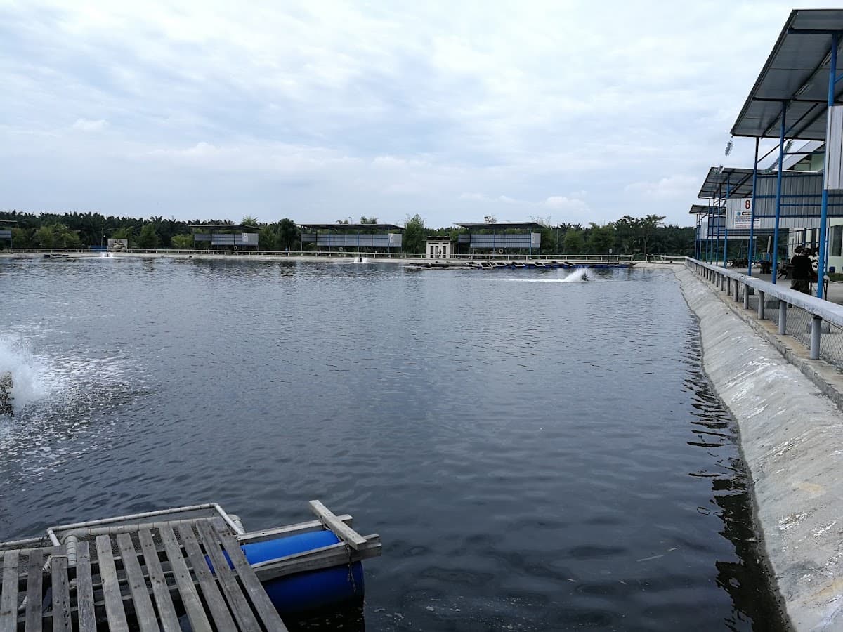 Meranti Fishing Farm (美兰帝休闲海水钓鱼场)