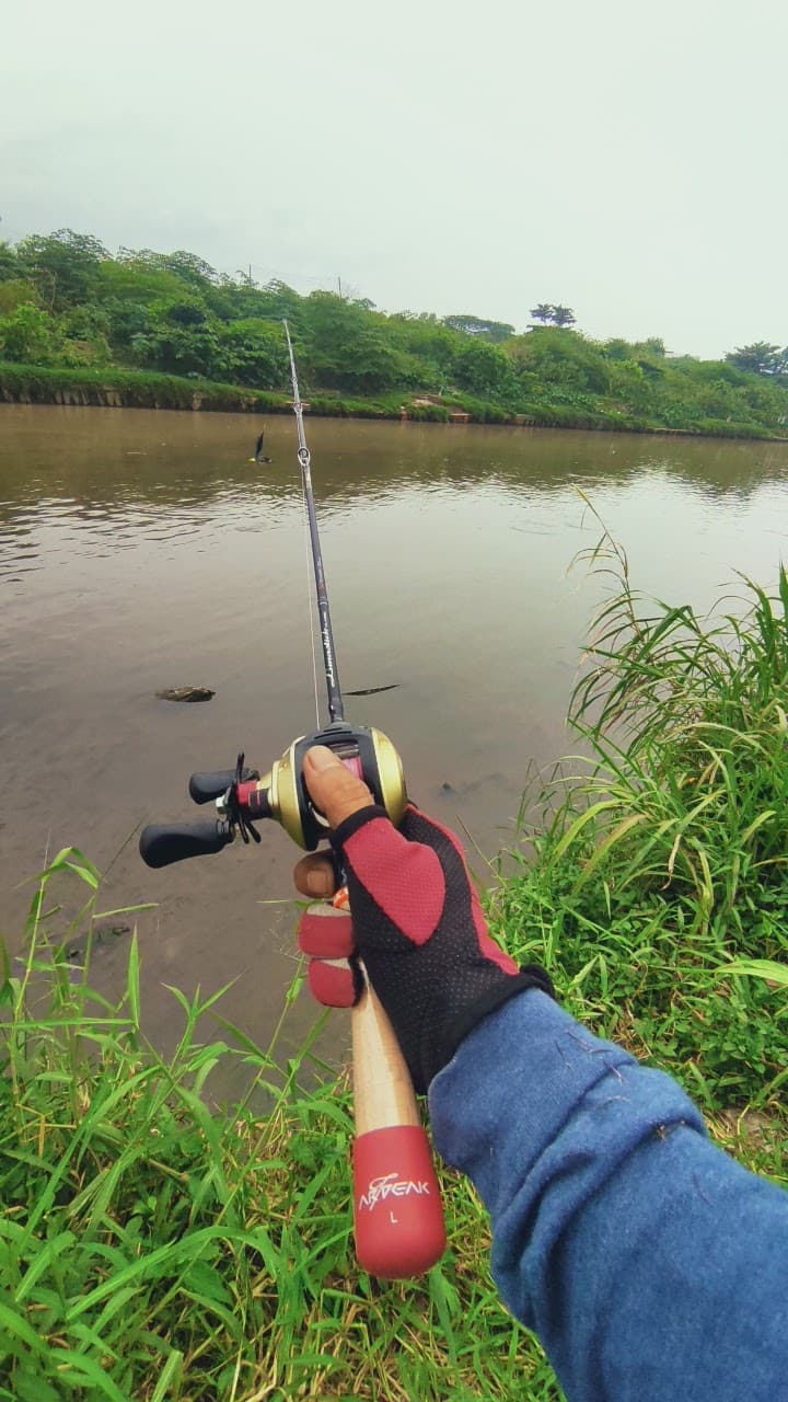 Amz fishing spot